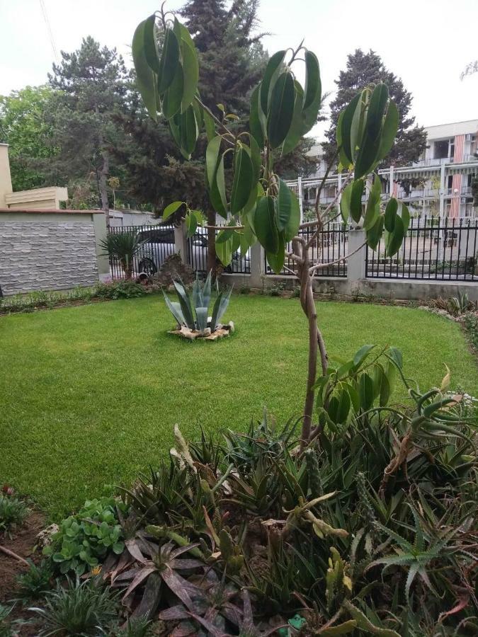 Guest House Alkor 奥布佐尔 外观 照片